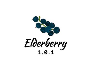 Elderberry 1.0.1 - Documentation