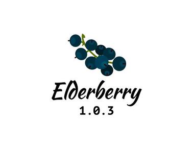 Elderberry 1.0.3 - Documentation